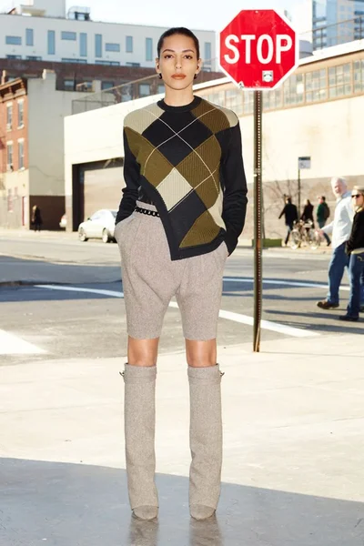 Look 13